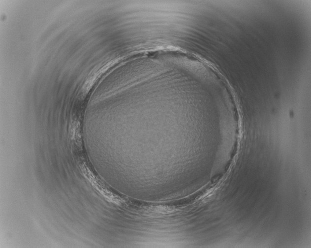 X0000051860881200507151817