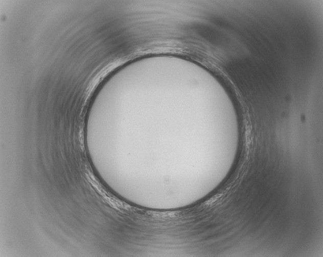 X0000051860882200507151817