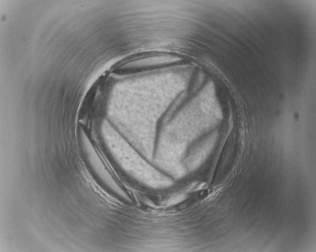 X0000051860884200507151817