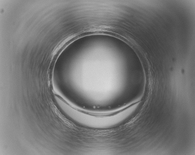 X0000051860885200507151817