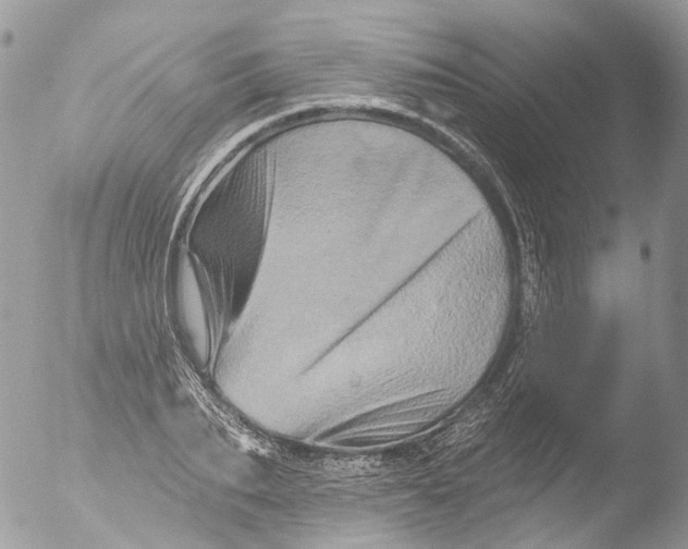 X0000051860887200507151817