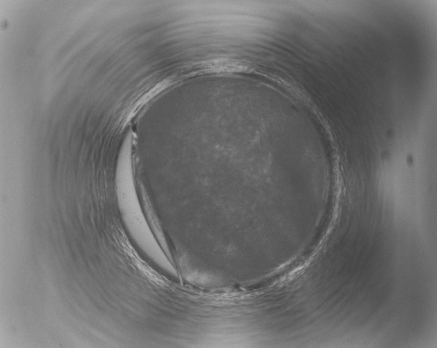 X0000051860889200507151817