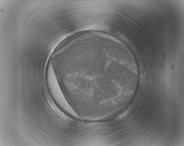 X0000051860892200507151817