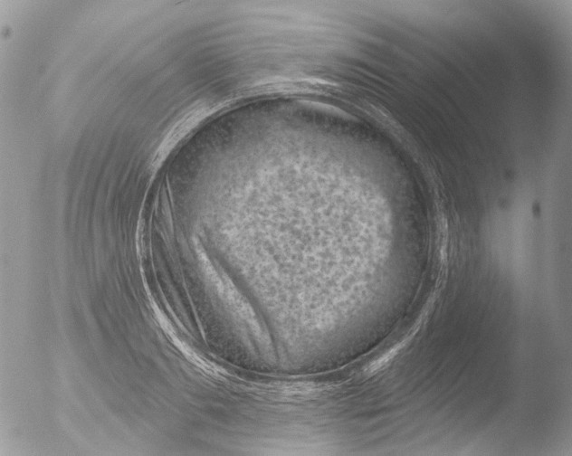 X0000051860893200507151817