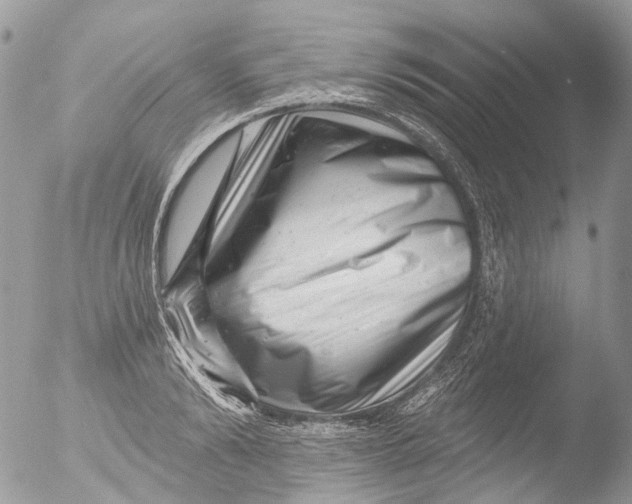 X0000051860894200507151817