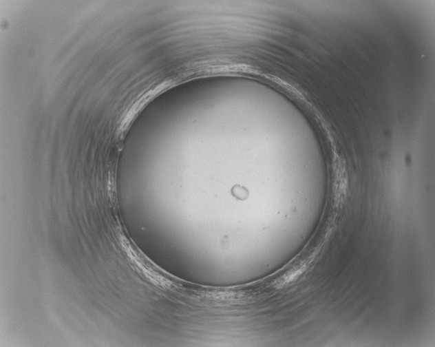 X0000051860897200507151817