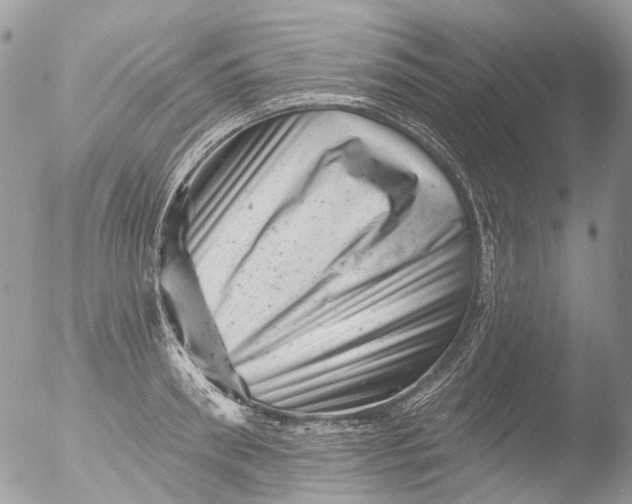 X0000051860898200507151817