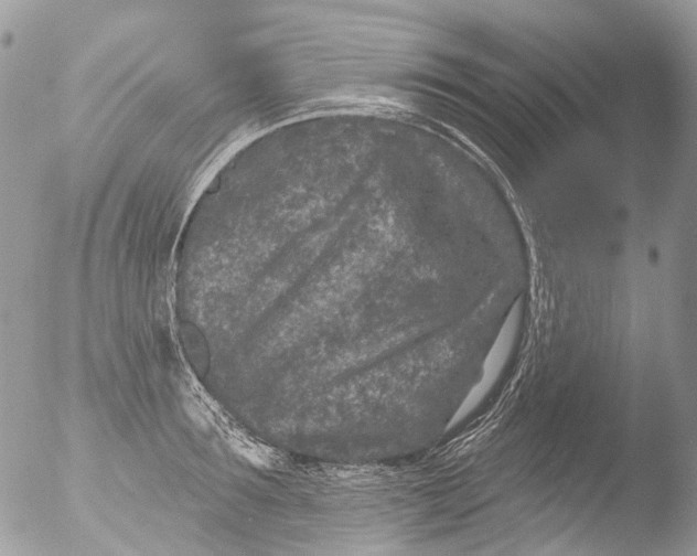 X0000051860899200507151817