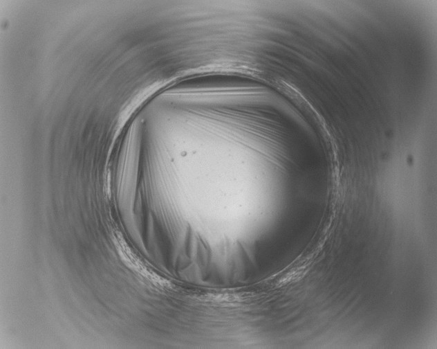 X0000051860900200507151817