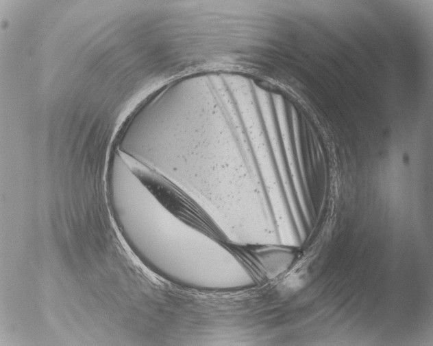 X0000051860902200507151817