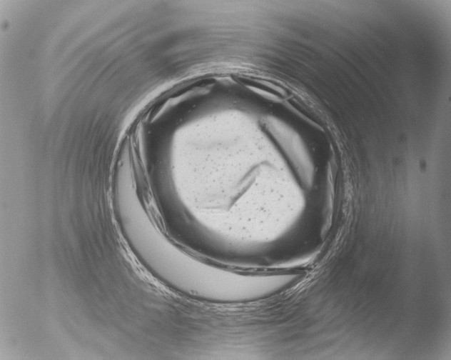 X0000051860904200507151817