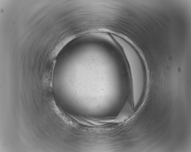 X0000051860905200507151817