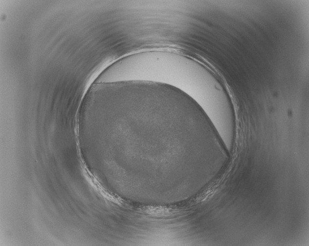 X0000051860907200507151817