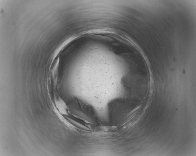 X0000051860909200507151817