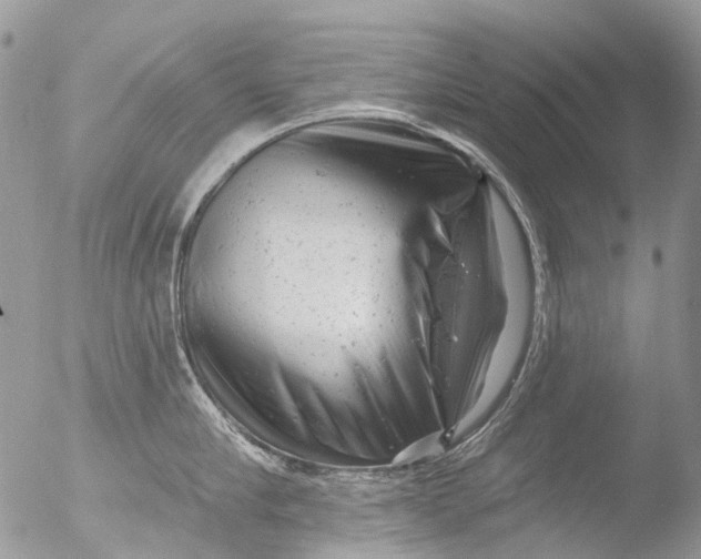 X0000051860910200507151817