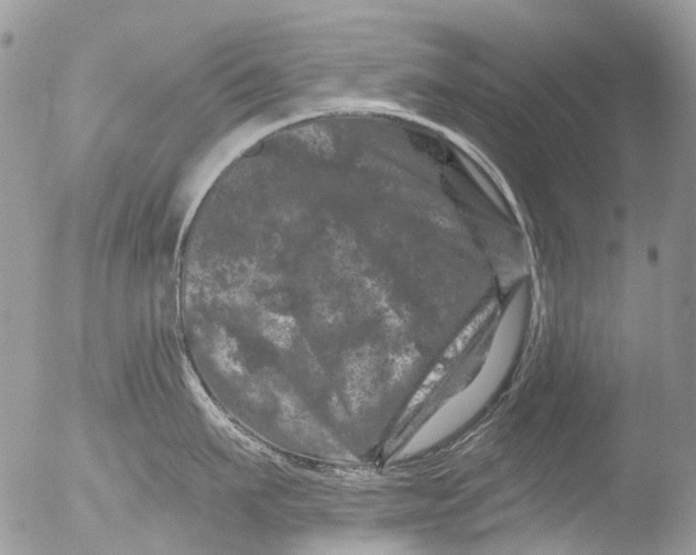 X0000051860911200507151817