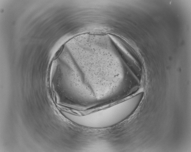 X0000051860912200507151817