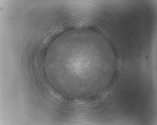 X0000051860913200507151816