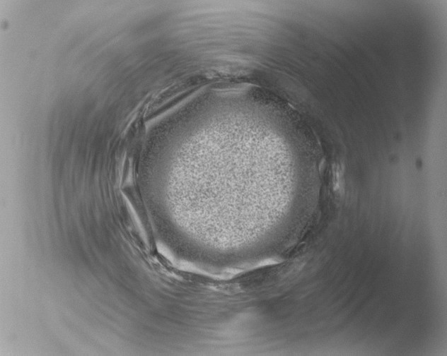 X0000051860915200507151816