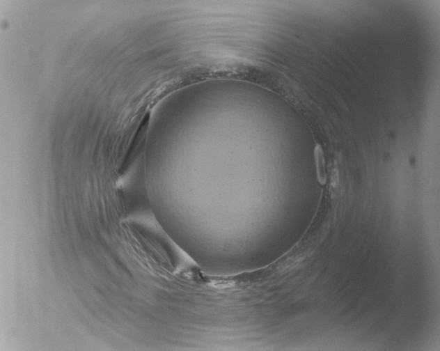 X0000051860916200507151816