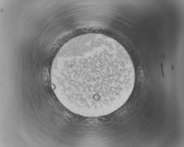 X0000051860918200507151816