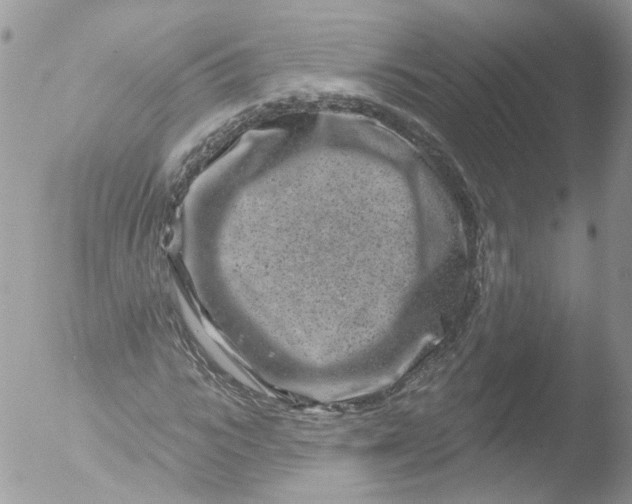 X0000051860919200507151816