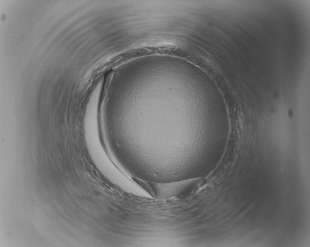 X0000051860920200507151816