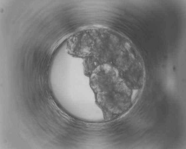 X0000051860921200507151816