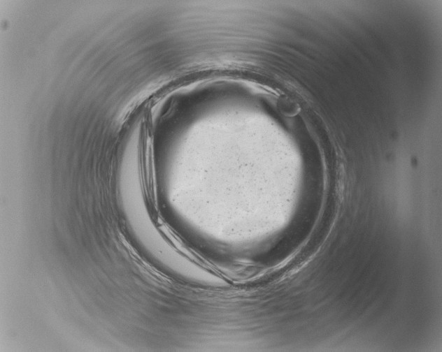 X0000051860922200507151816