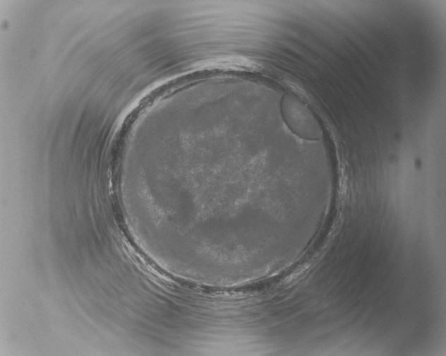 X0000051860923200507151816