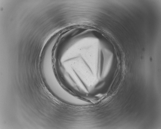 X0000051860924200507151816