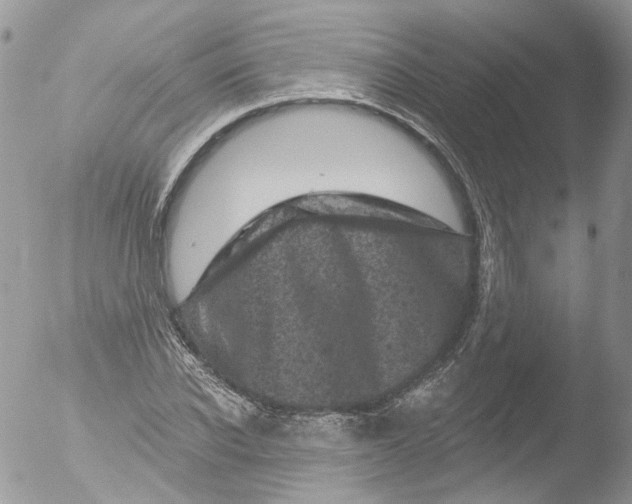 X0000051860926200507151816