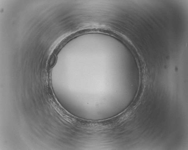 X0000051860927200507151816