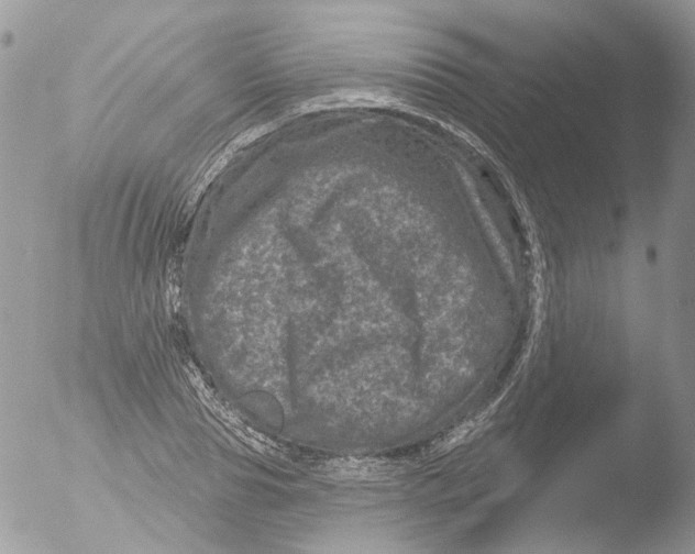 X0000051860929200507151816