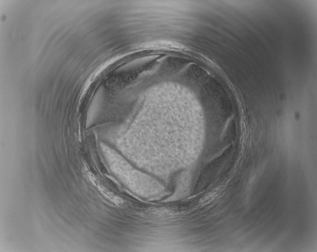 X0000051860931200507151816