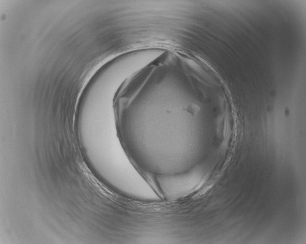 X0000051860932200507151816