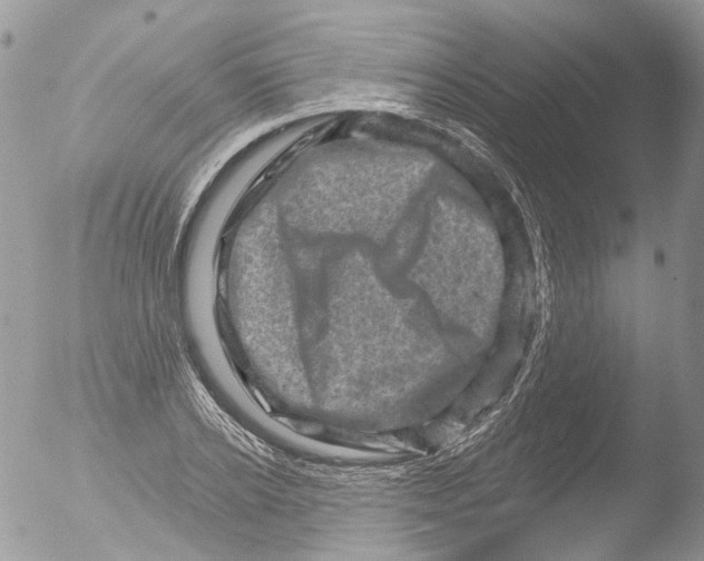 X0000051860934200507151816