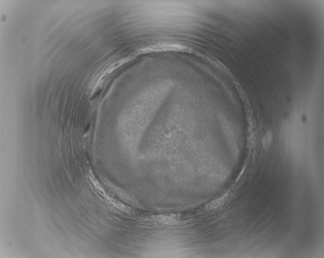 X0000051860937200507151816