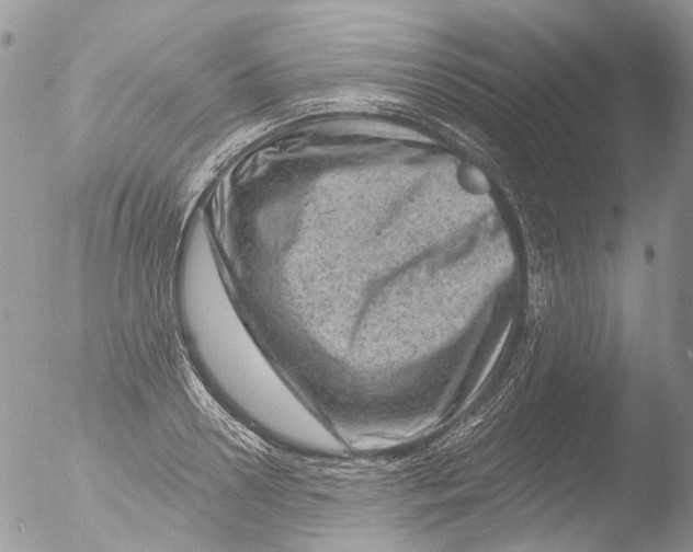 X0000051860938200507151816