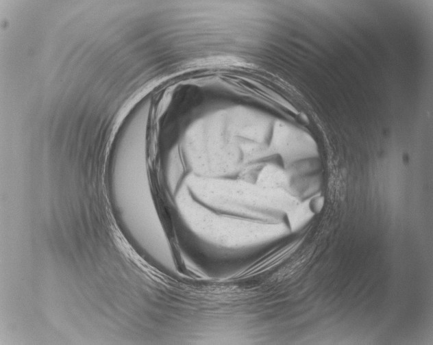 X0000051860939200507151816