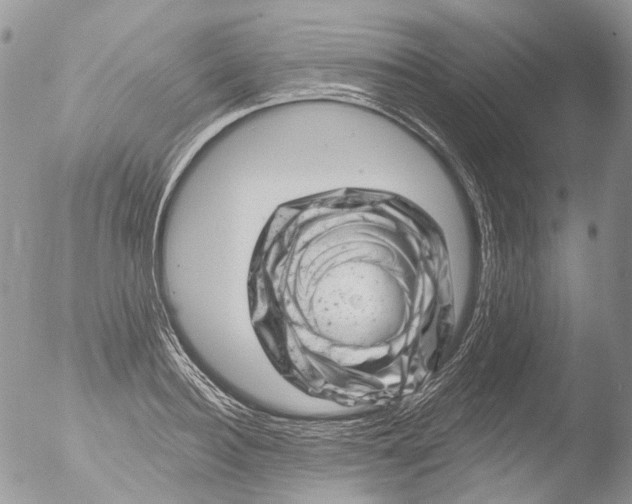 X0000051860940200507151817