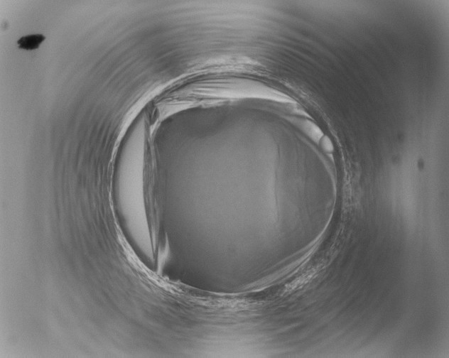 X0000051860941200507151817