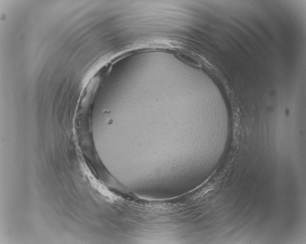 X0000051860944200507151817