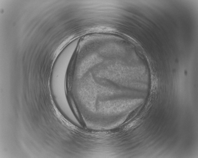 X0000051860946200507151817