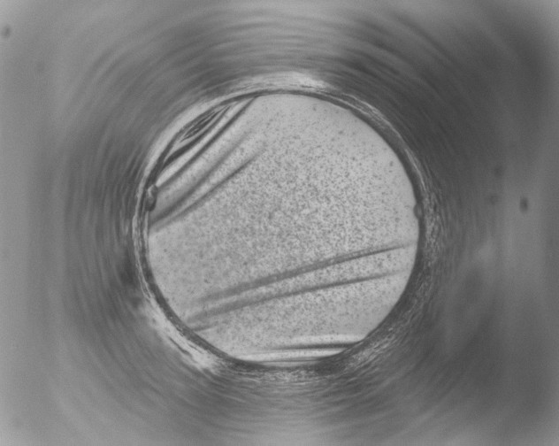 X0000051860947200507151817