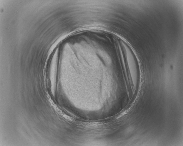 X0000051860949200507151817