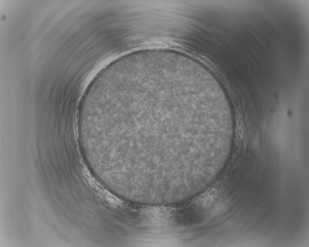 X0000051860950200507151817