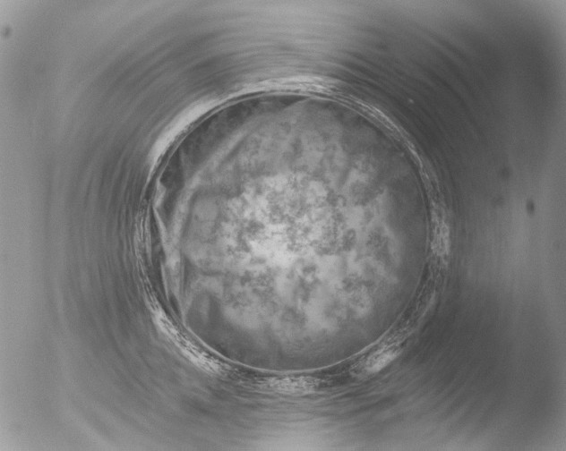 X0000051860952200507151817