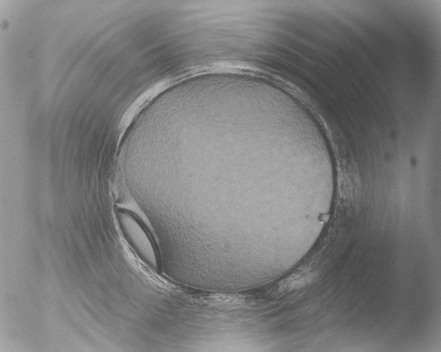 X0000051860954200507151817