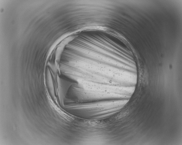 X0000051860955200507151817